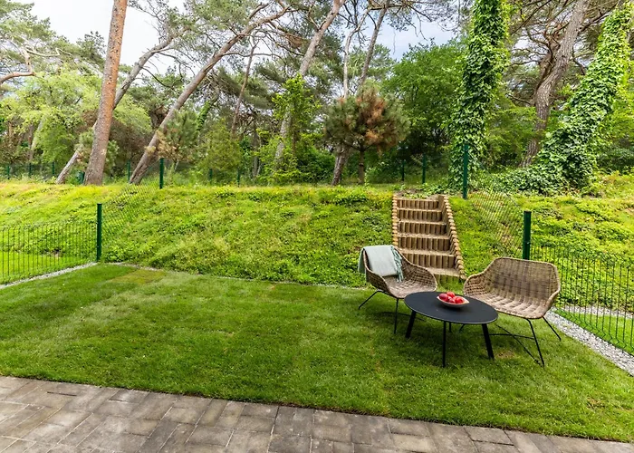 Na Polwyspie Wydma&las Jastarnia